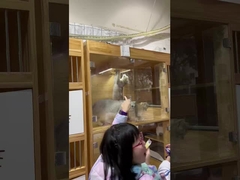 Schoonere lucht, gelukkiger huisdieren: Berk's reiniger levert