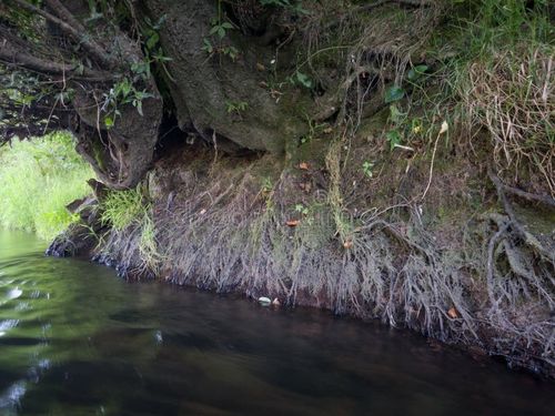 china laatste nieuws over Suspended Particles from River Erosion: Understanding Their Impact on Air Quality and the Need for Air Purifiers (Suspendende deeltjes van rivieroorlog: hun invloed op de luchtkwaliteit en de noodzaak van luchtreinigers begrijpen)